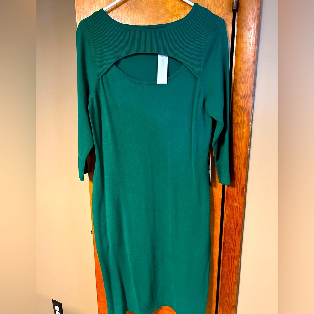 Great fall dress from New York & Company. Never worn. pine green color